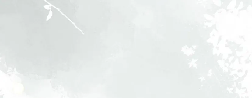 14 Príncipe problemático