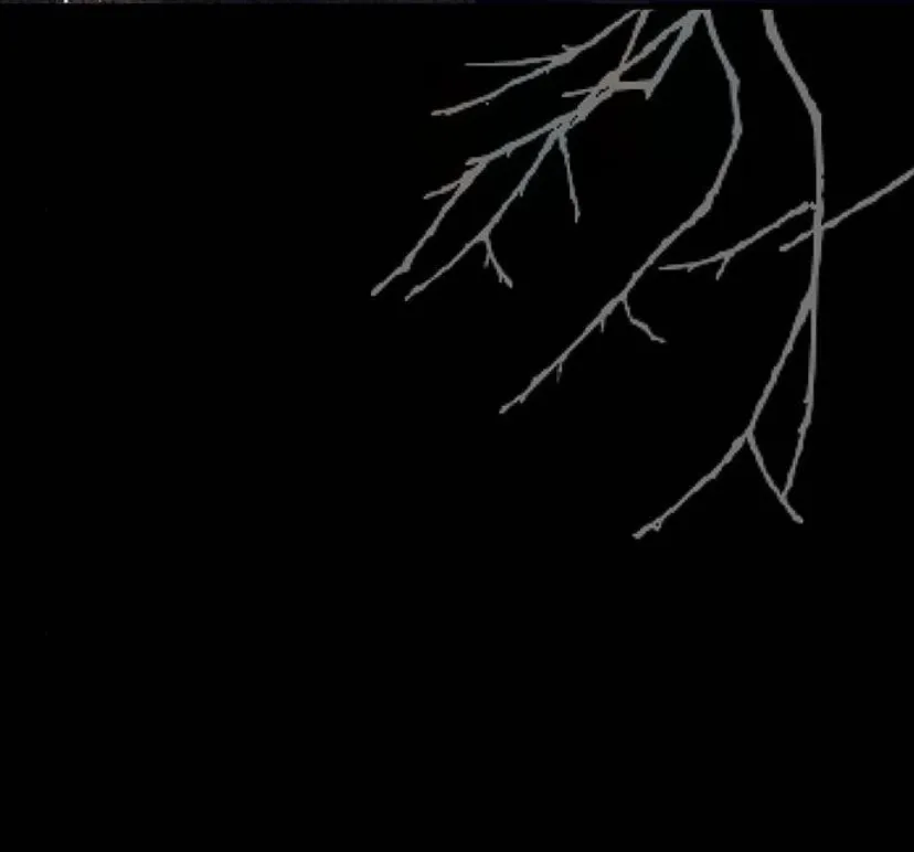 23 Príncipe problemático