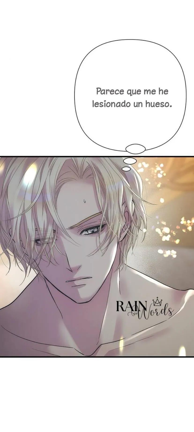 32 Príncipe problemático