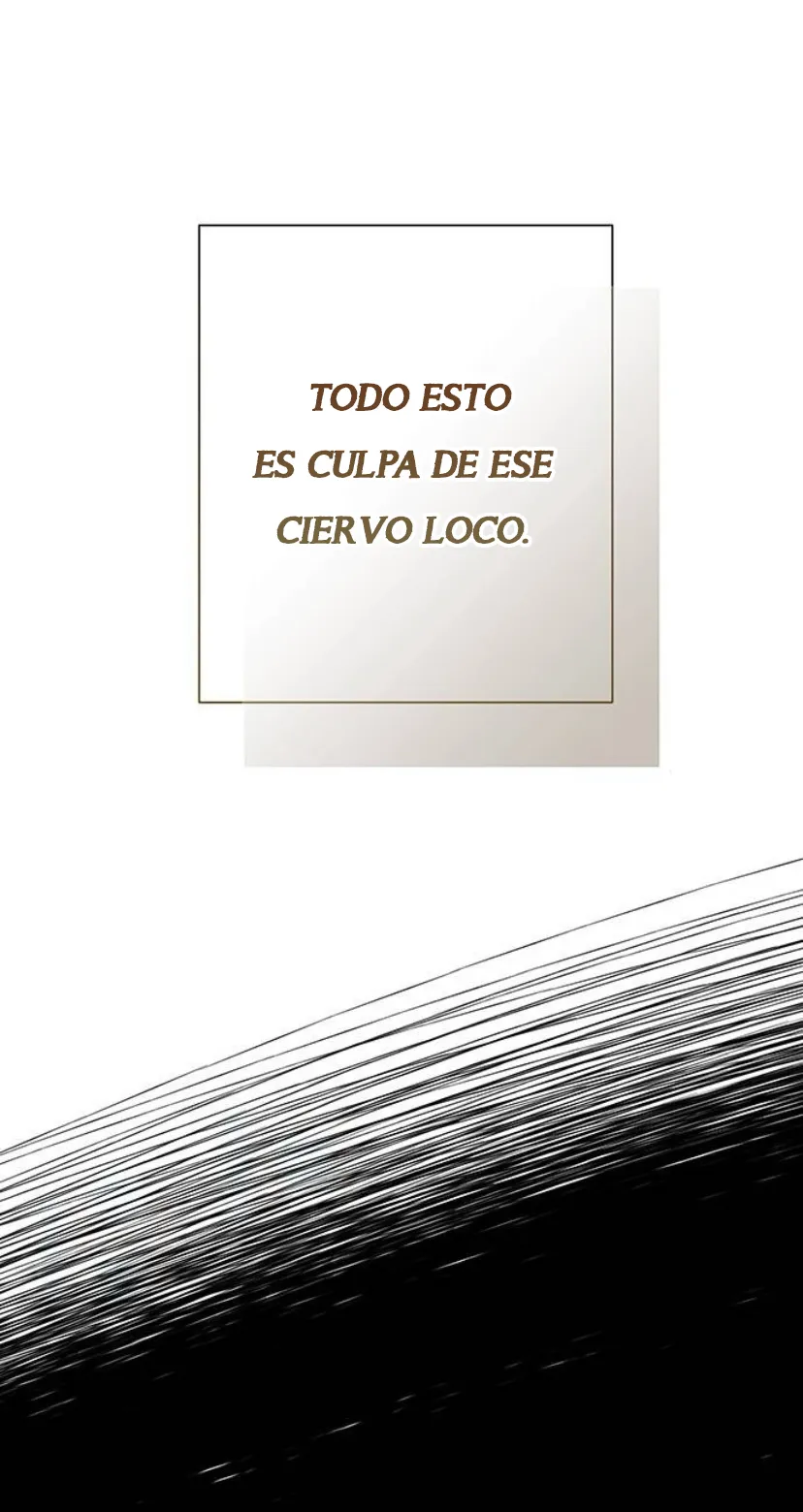 33 Príncipe problemático