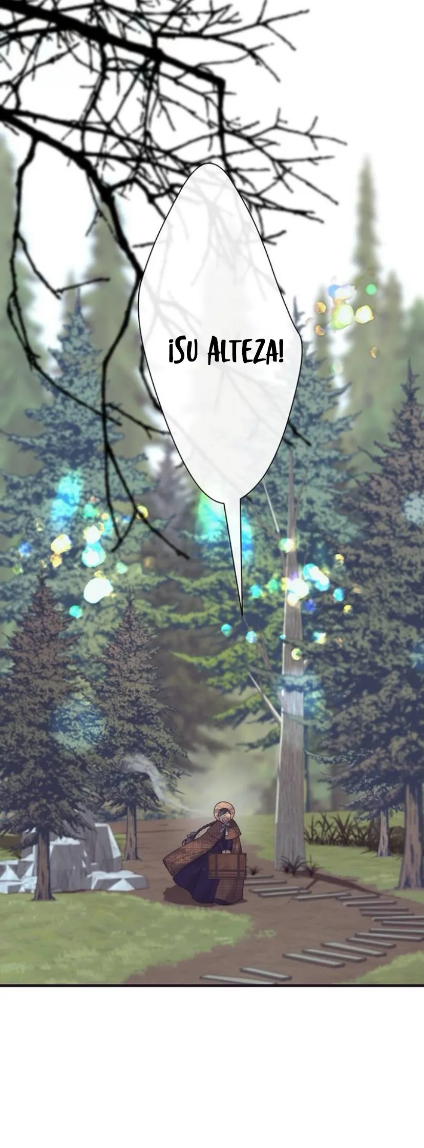 78 Príncipe problemático