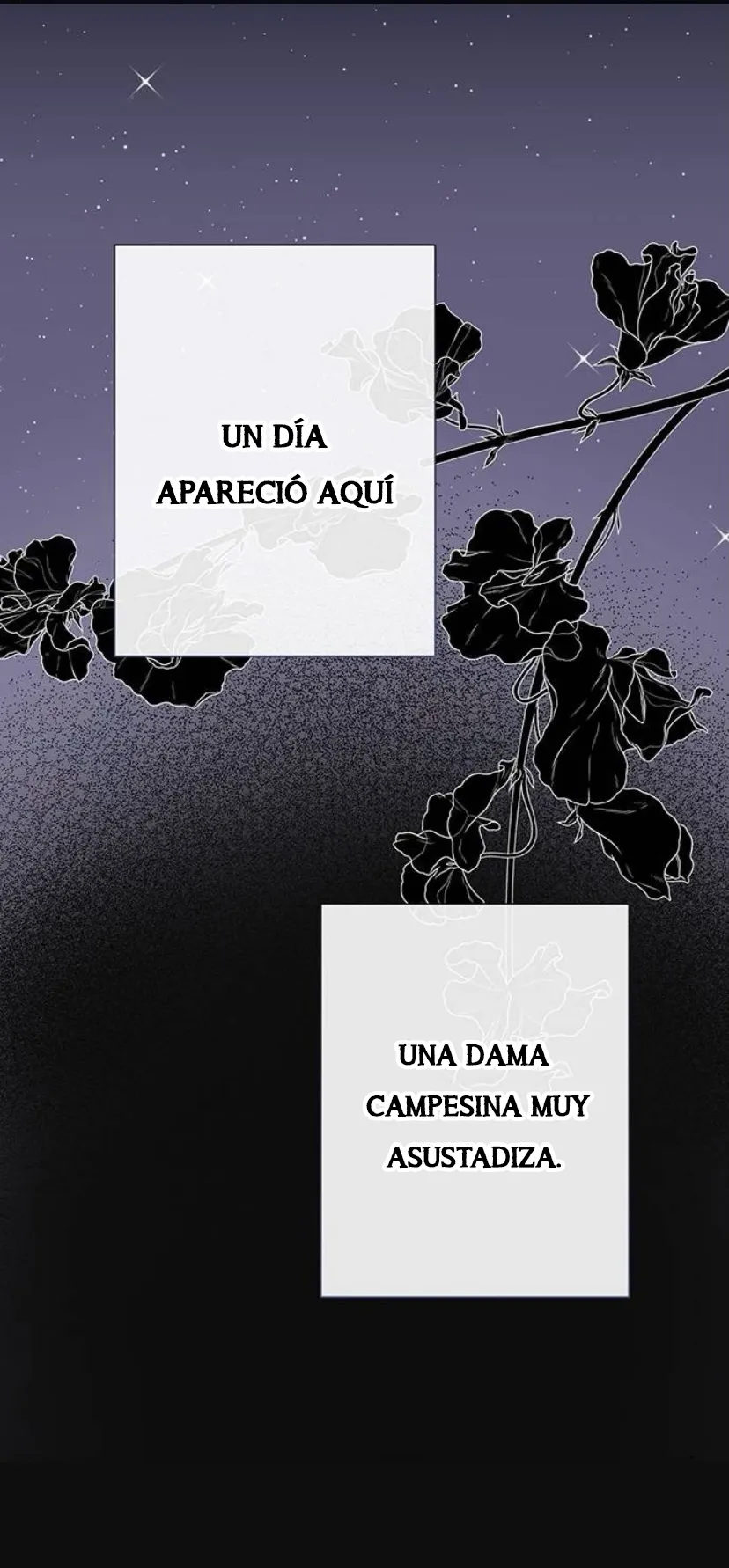 17 Príncipe problemático