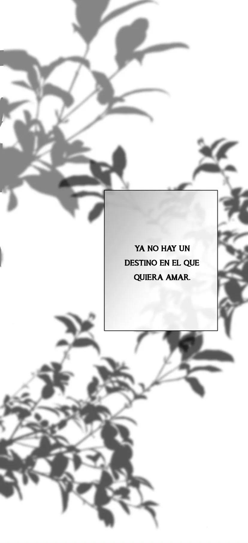 30 Príncipe problemático