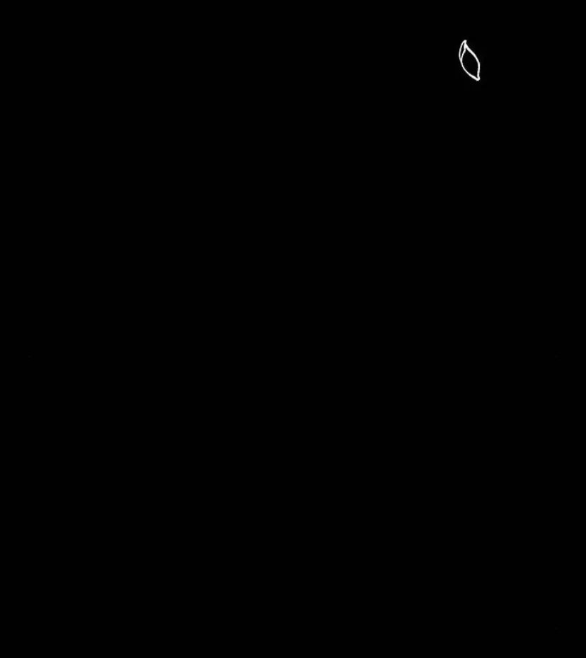 117 Príncipe problemático