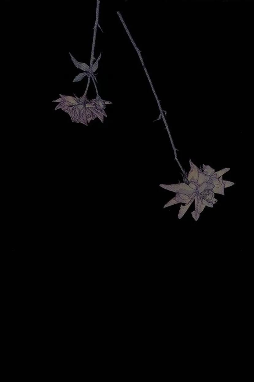 89 Príncipe problemático