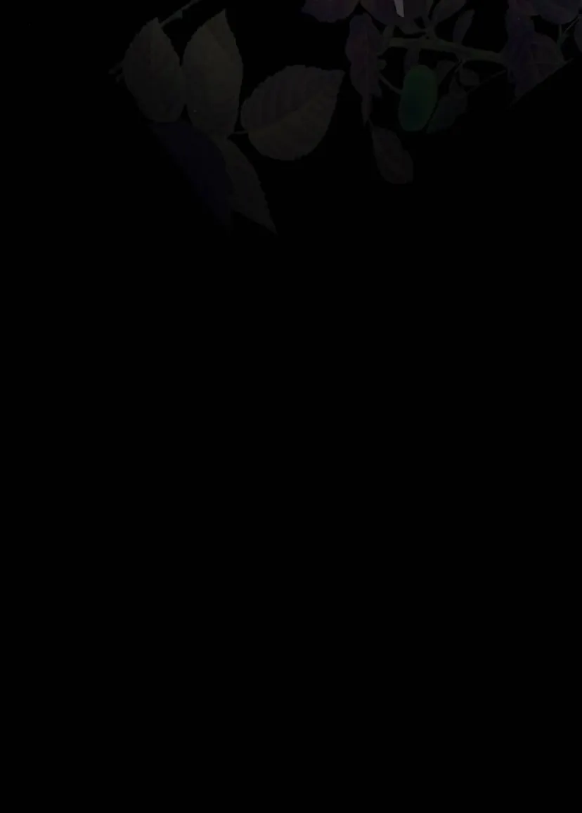 84 Príncipe problemático