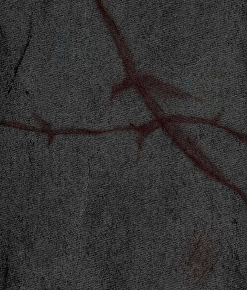 70 Príncipe problemático