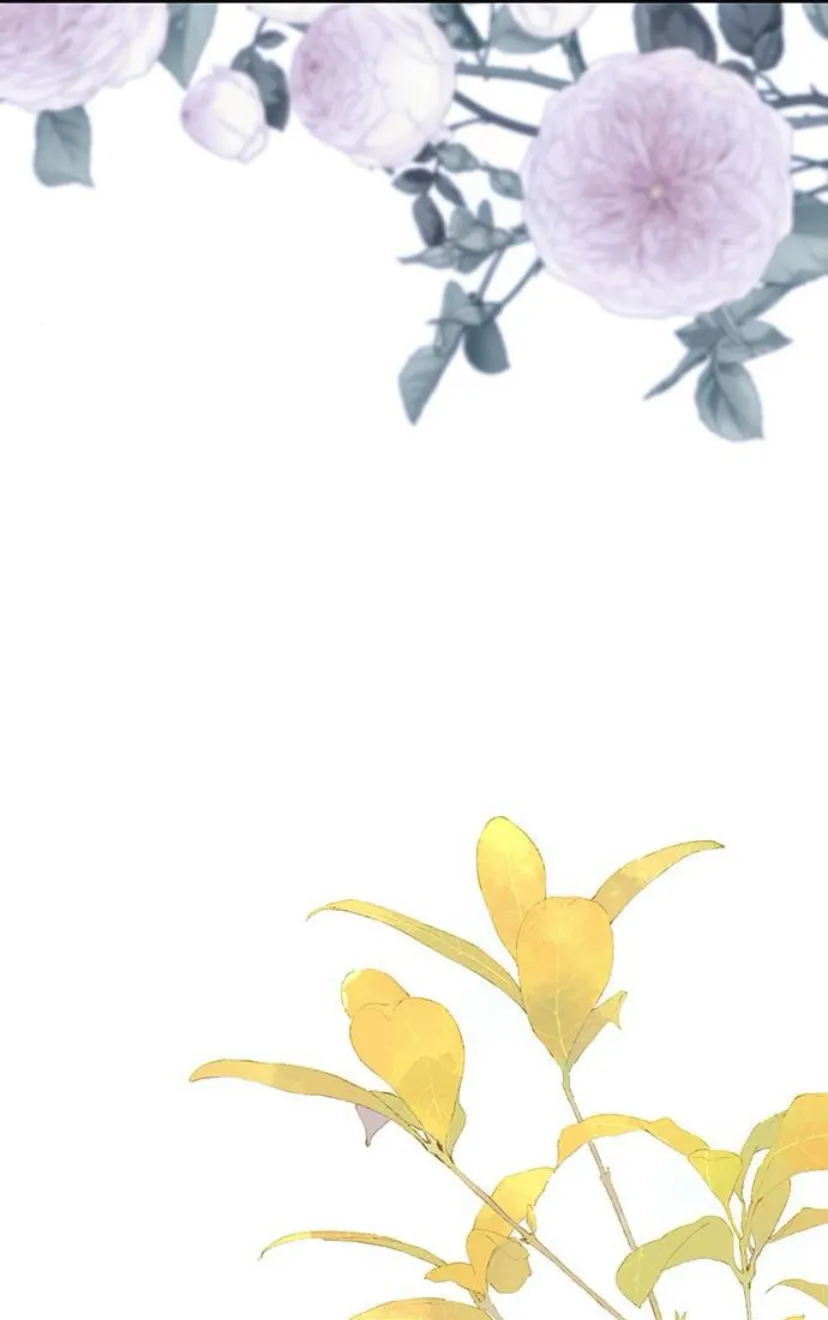 17 Príncipe problemático