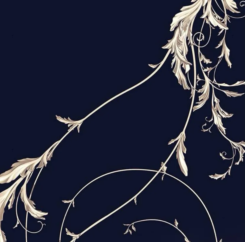 60 Príncipe problemático