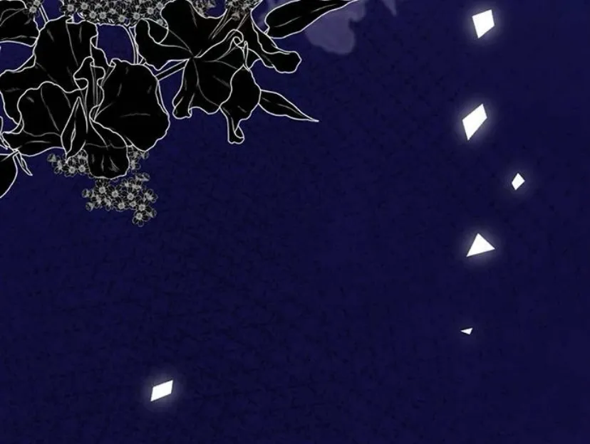 52 Príncipe problemático