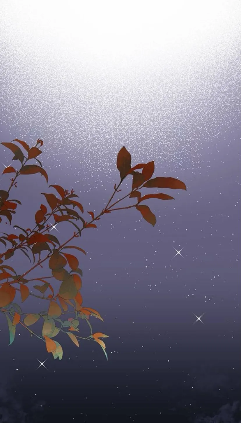 27 Príncipe problemático