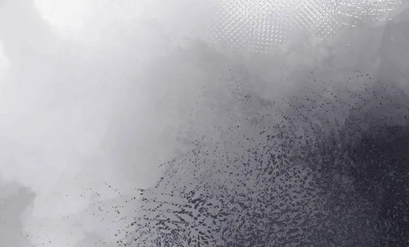 89 Príncipe problemático