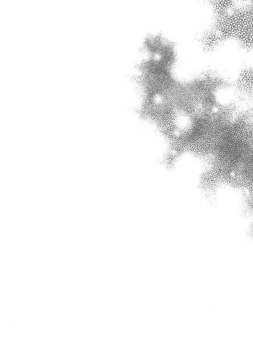 85 Príncipe problemático