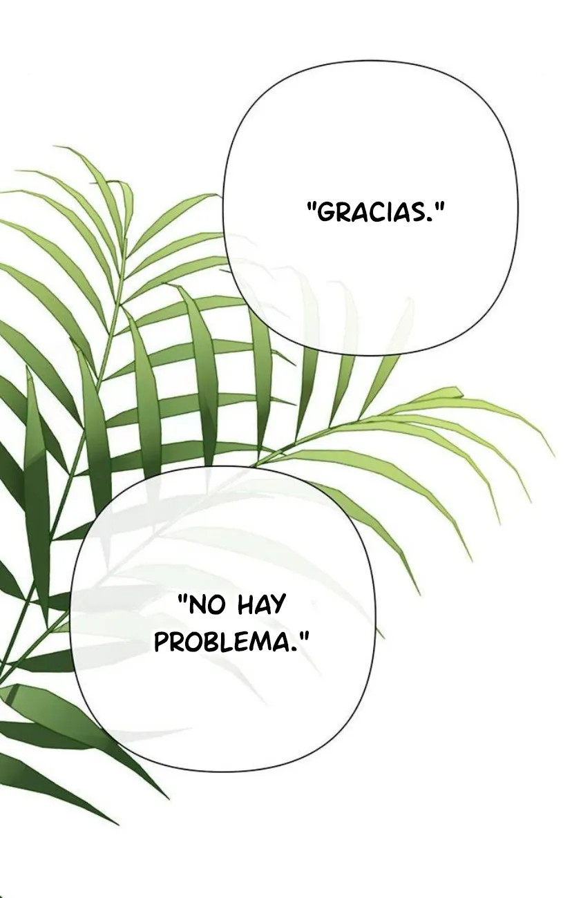 37 Príncipe problemático