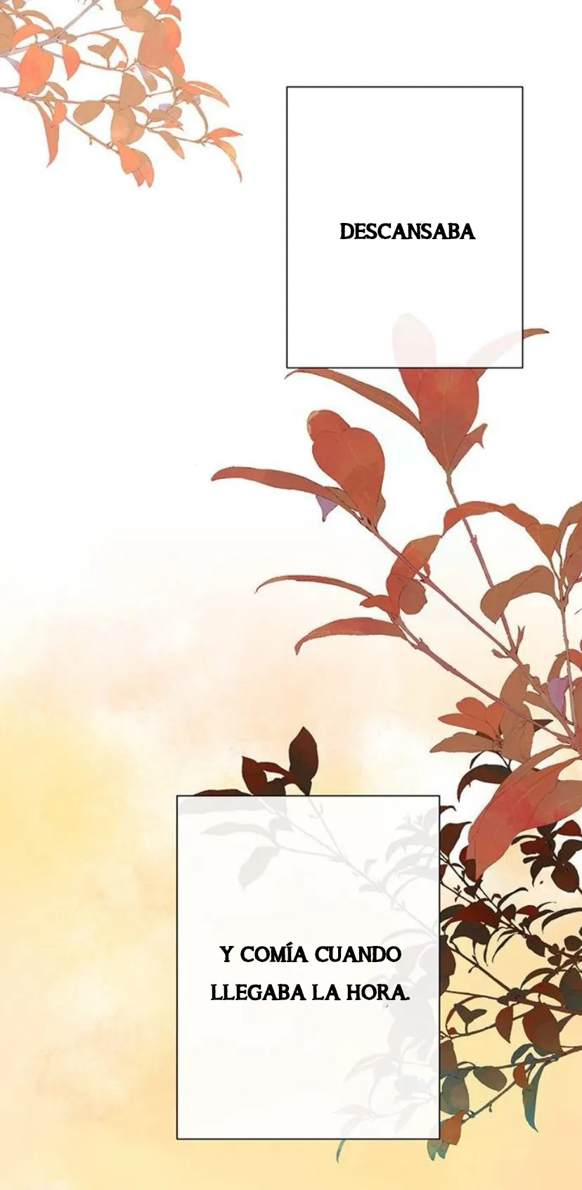 10 Príncipe problemático