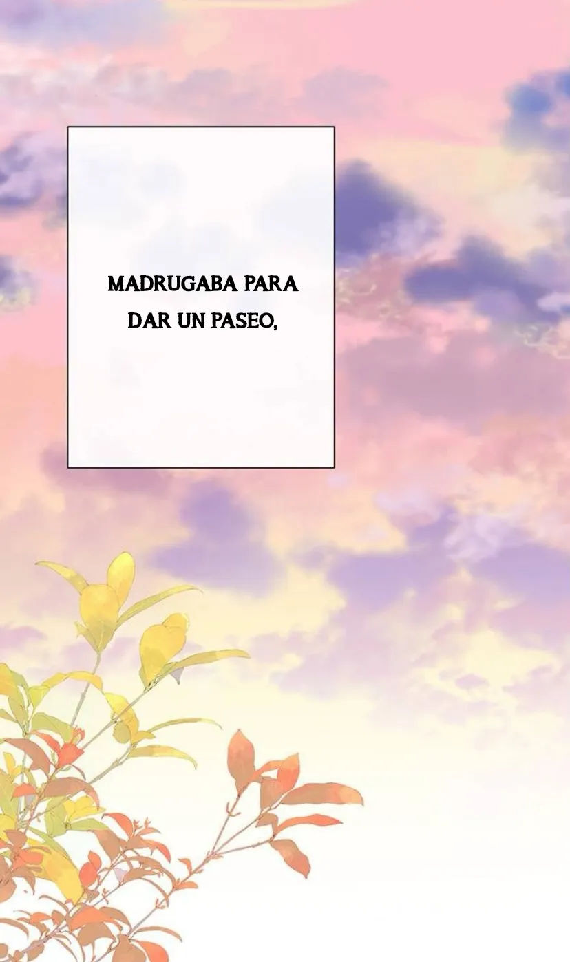 9 Príncipe problemático