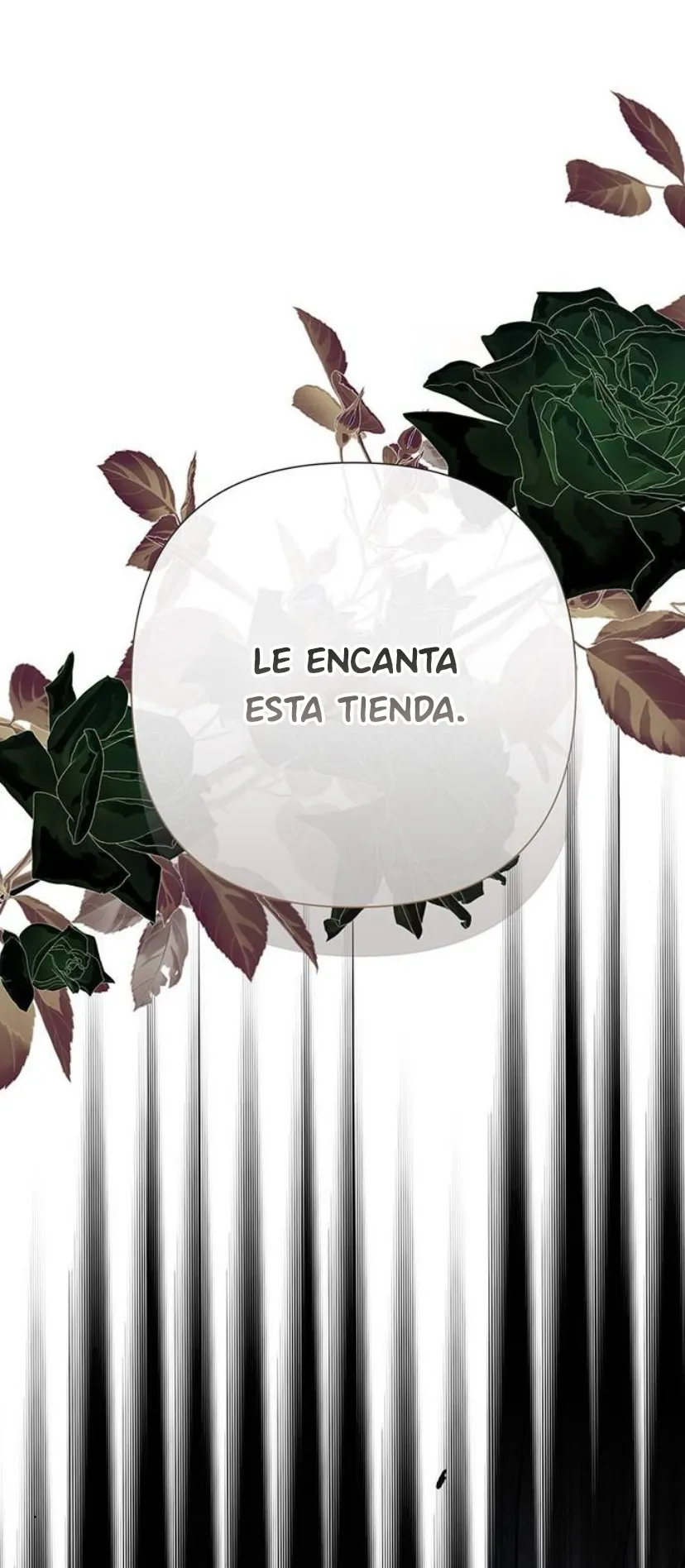 26 Príncipe problemático