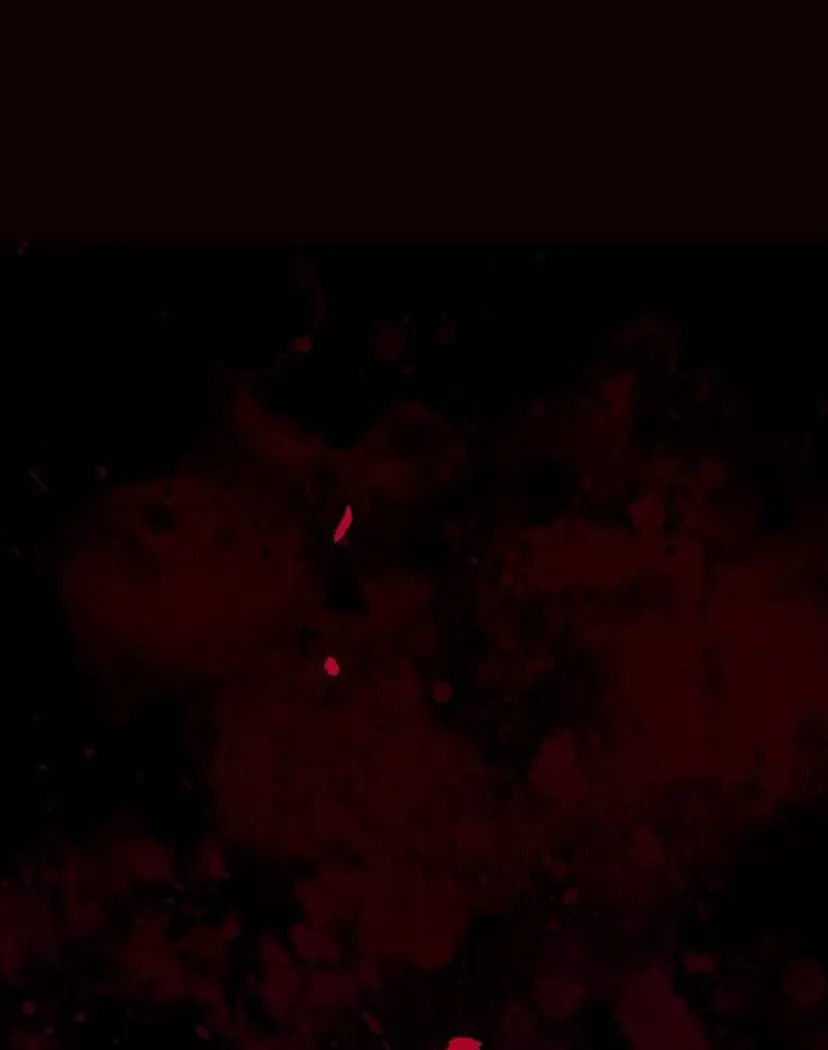 45 Príncipe problemático