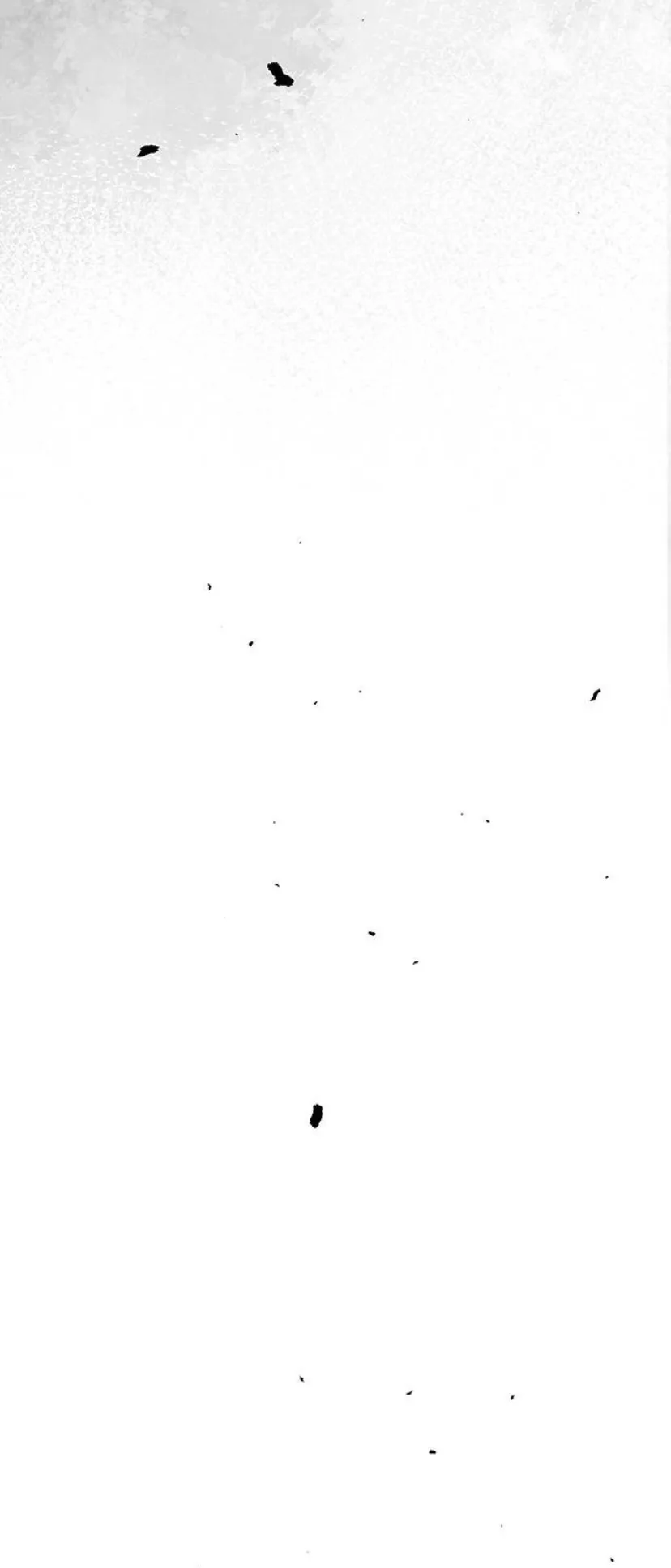 84 Príncipe problemático