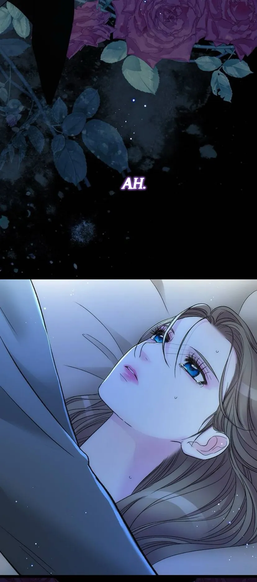 23 Príncipe problemático