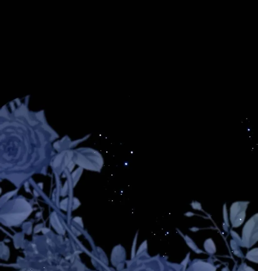 2 Príncipe problemático