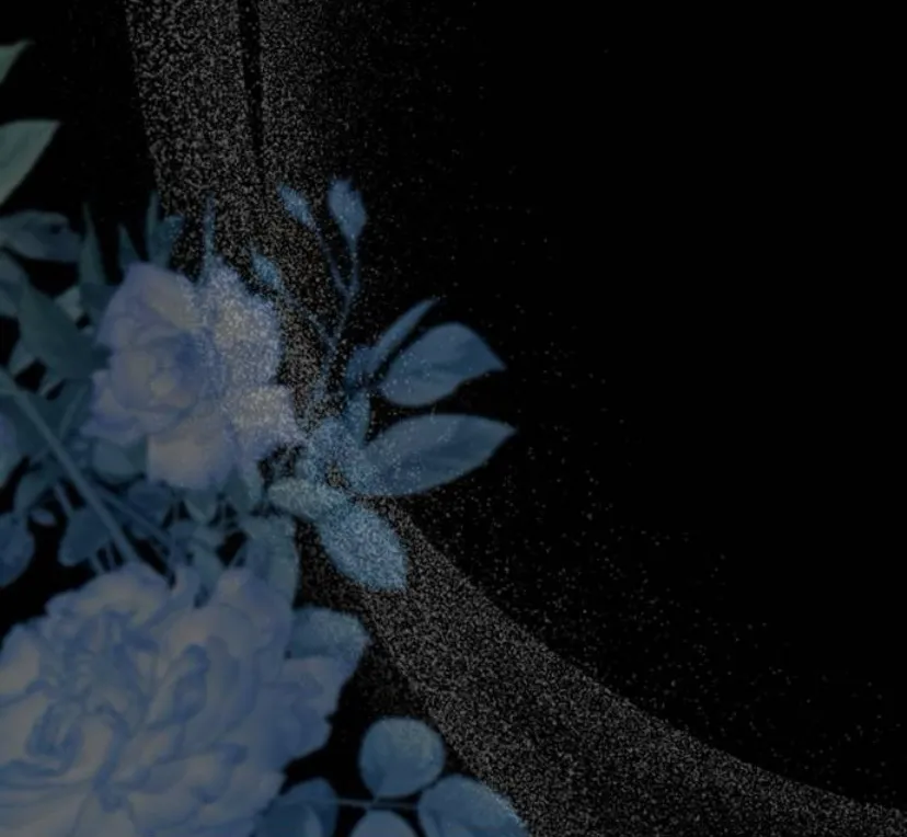 7 Príncipe problemático