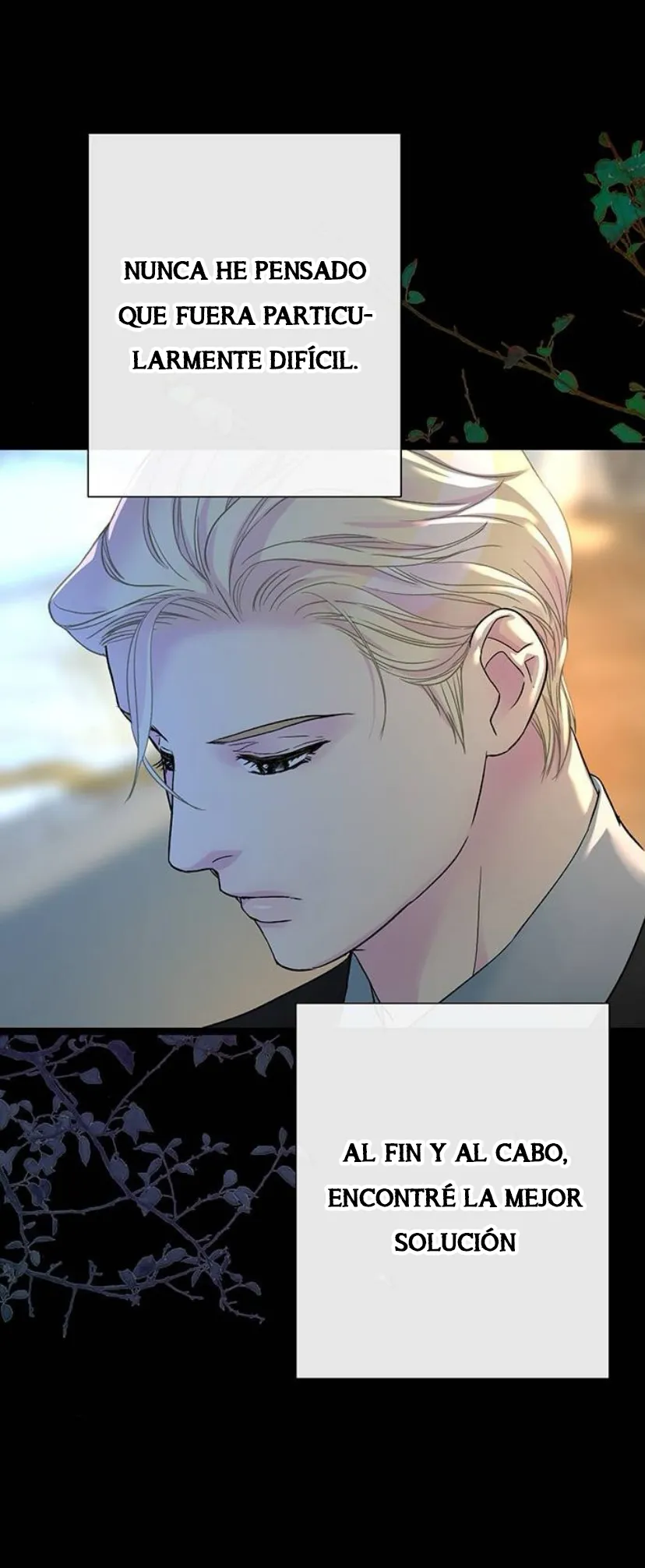 24 Príncipe problemático