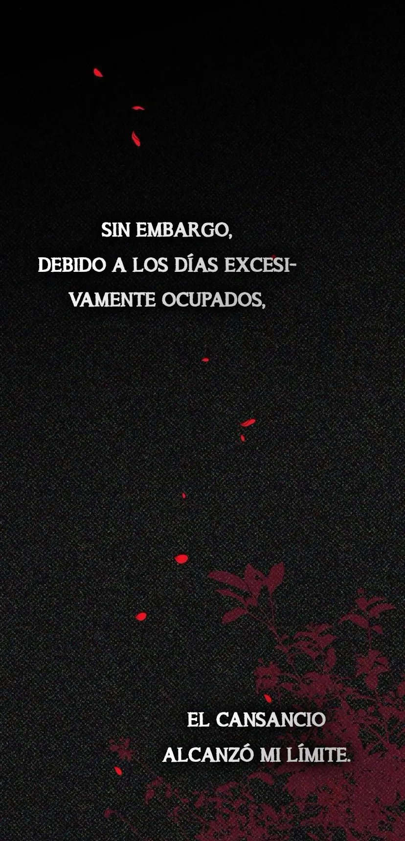 26 Príncipe problemático