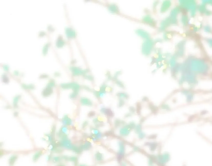 25 Príncipe problemático