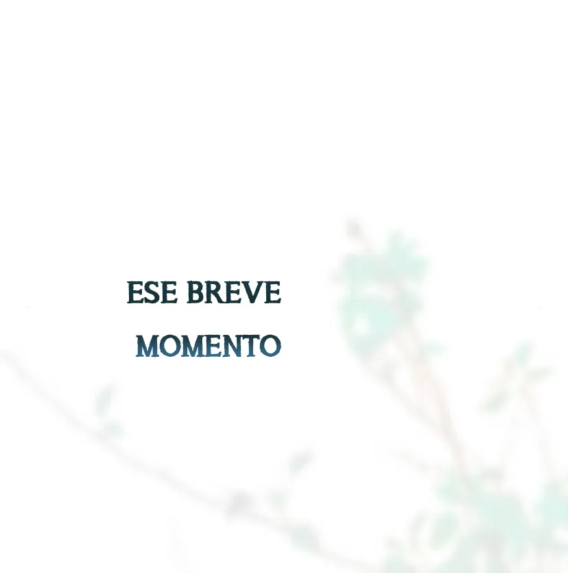 29 Príncipe problemático