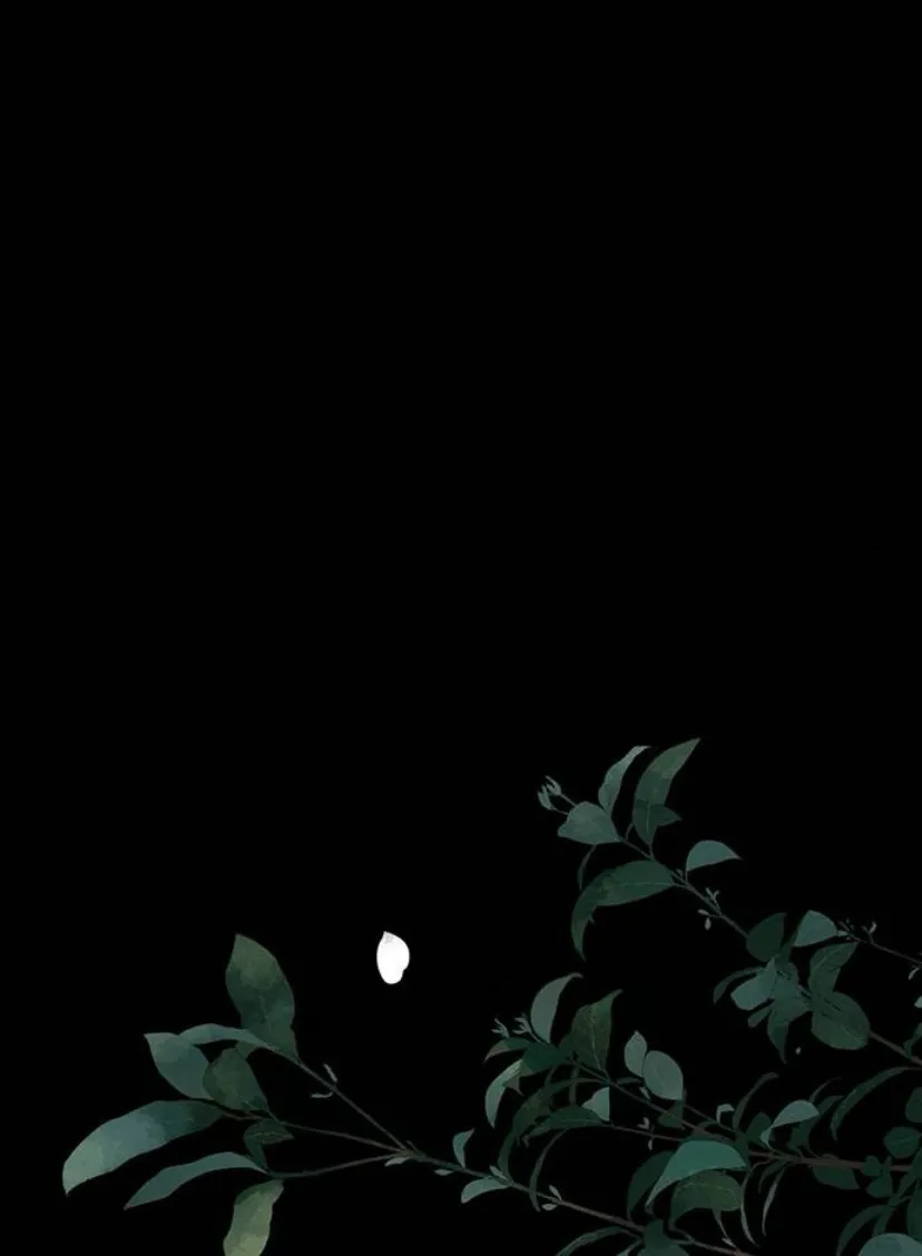 84 Príncipe problemático