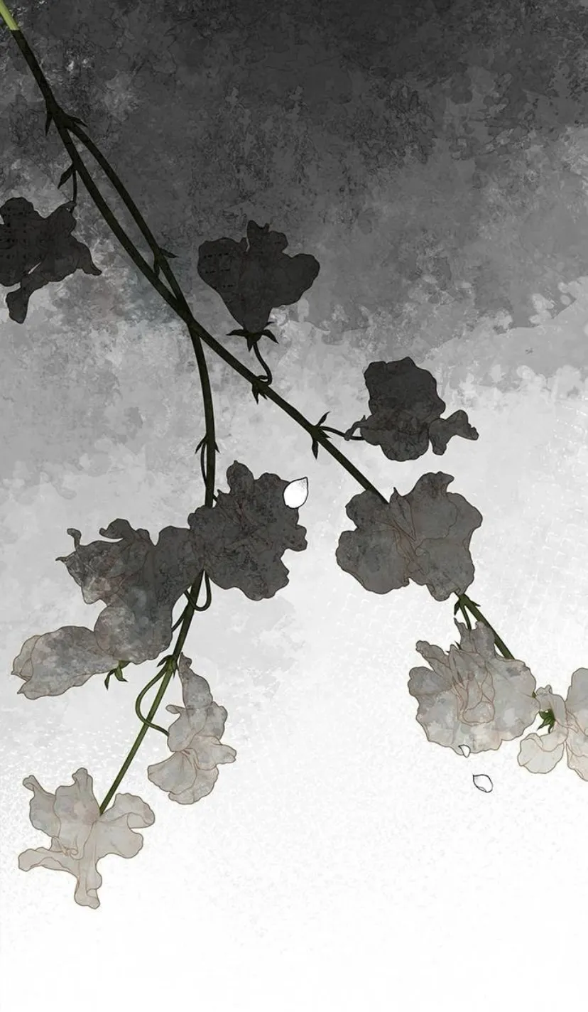 75 Príncipe problemático