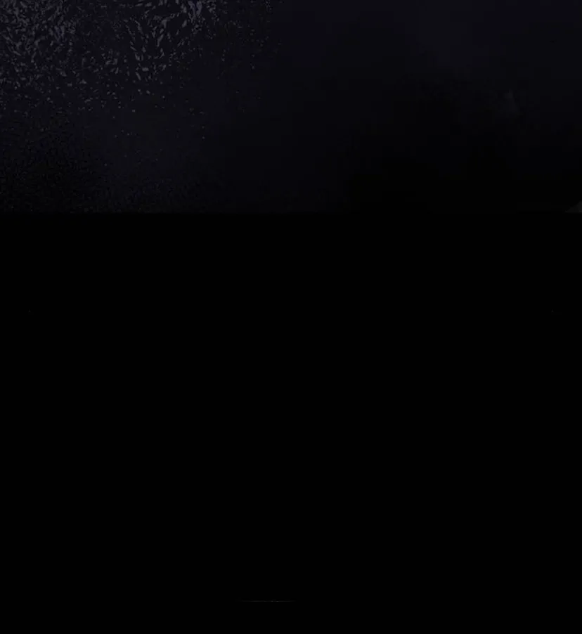 54 Príncipe problemático