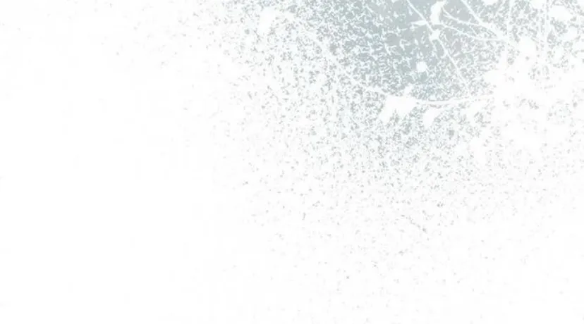 105 Príncipe problemático