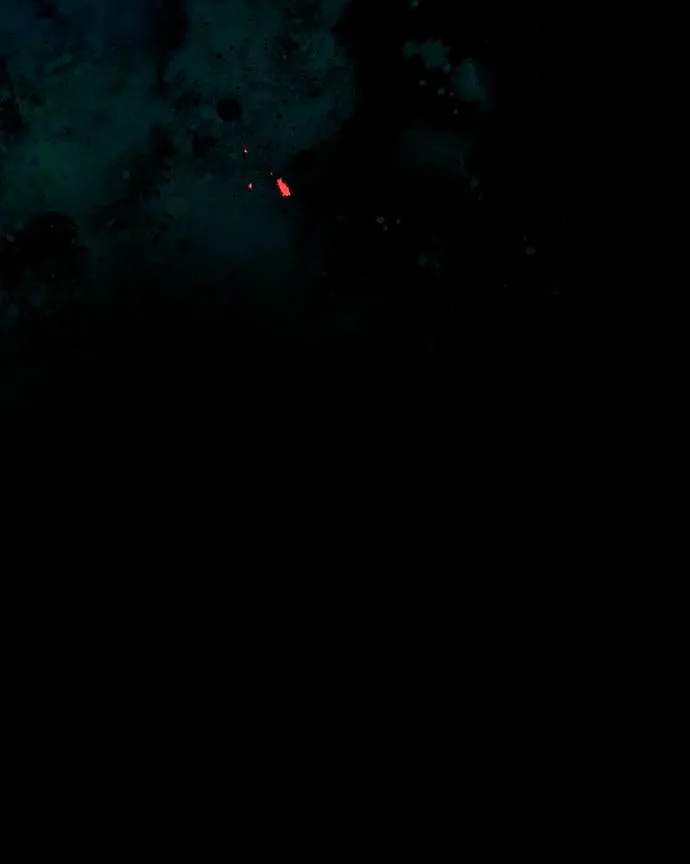 69 Príncipe problemático