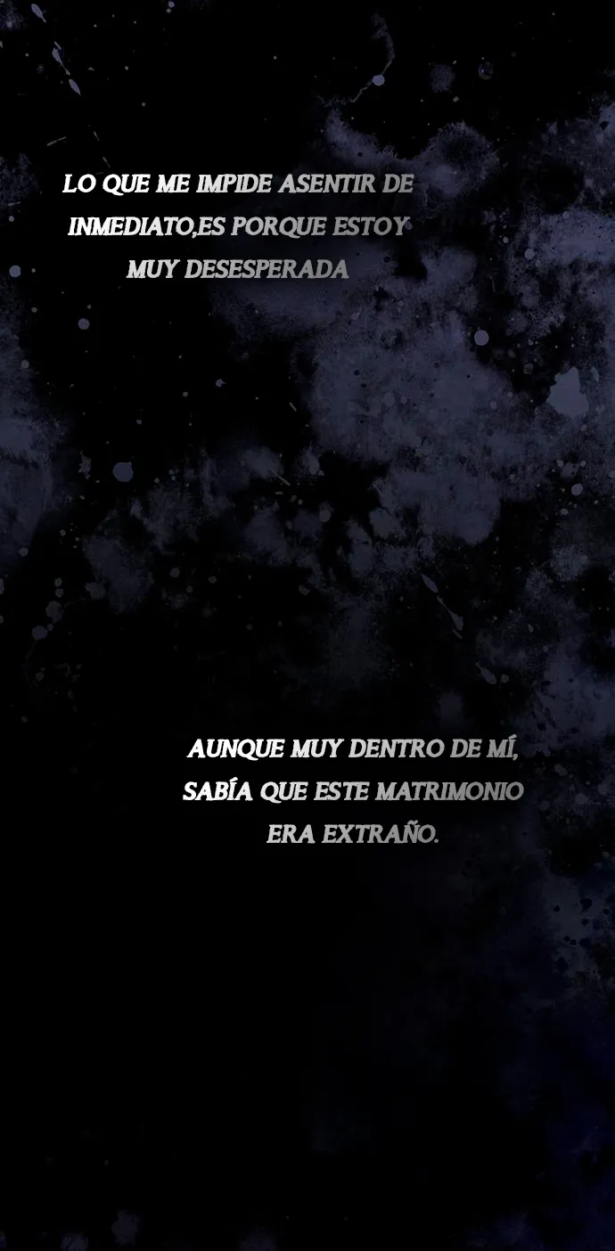 19 Príncipe problemático