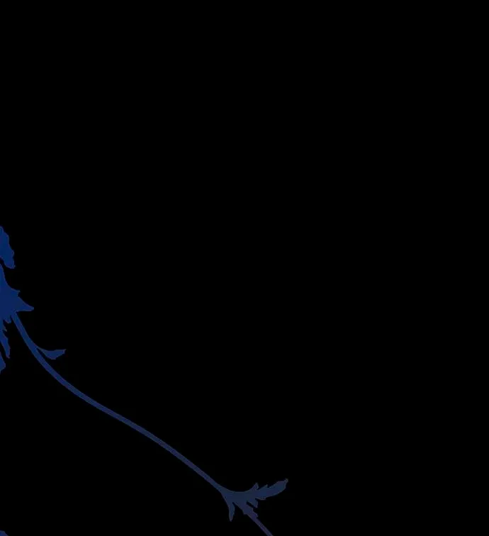 36 Príncipe problemático