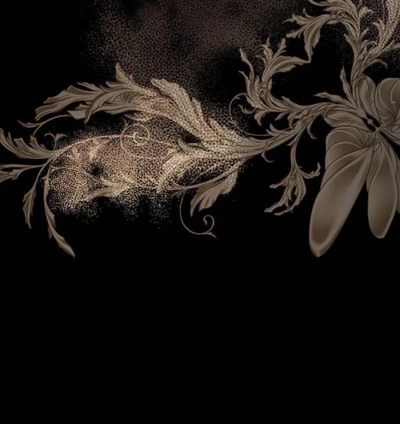 24 Príncipe problemático