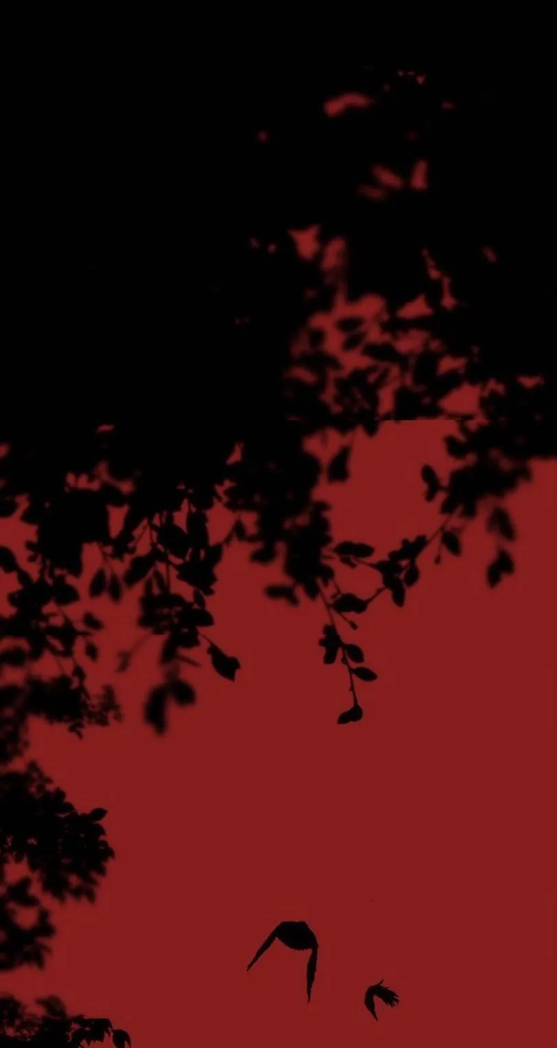 11 Príncipe problemático