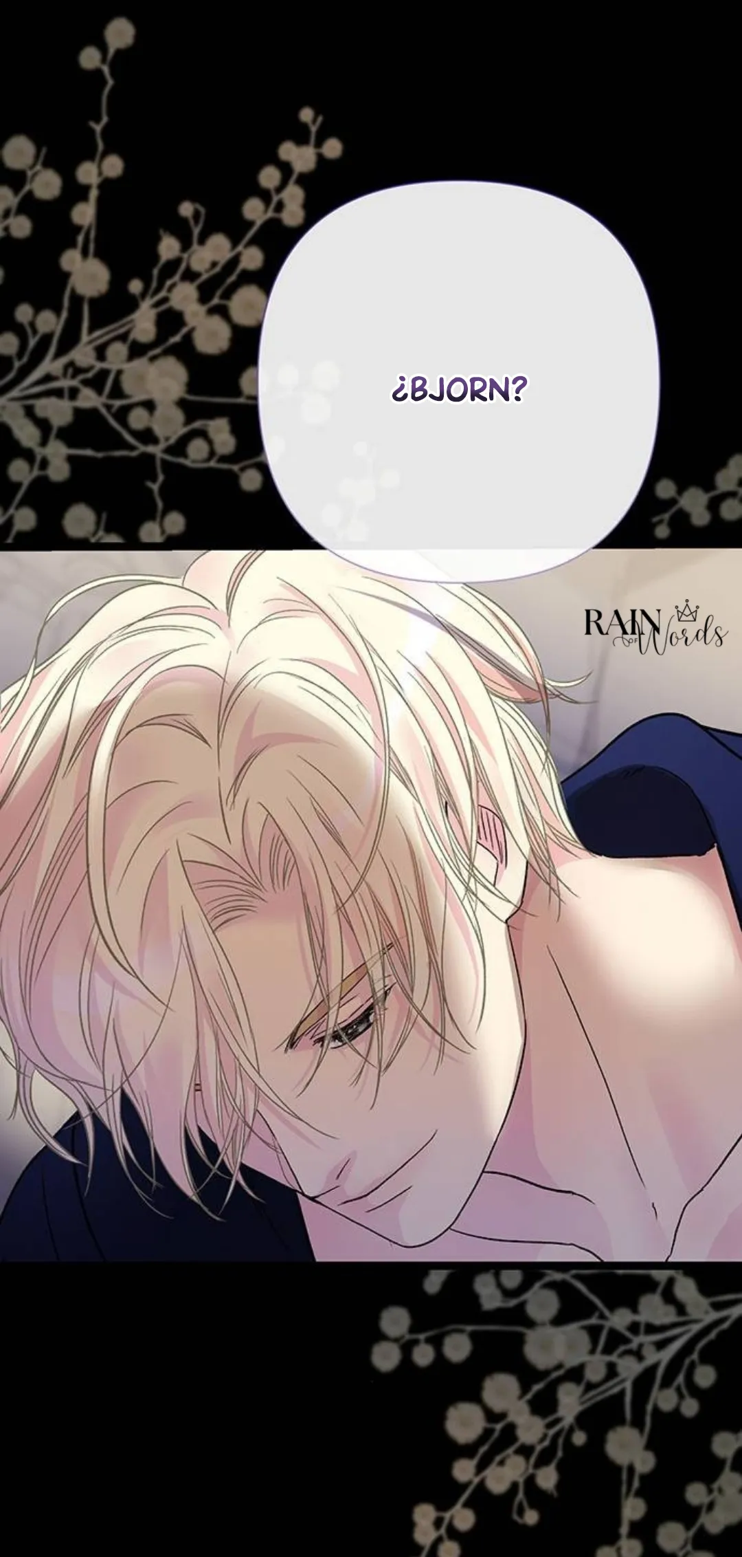 85 Príncipe problemático