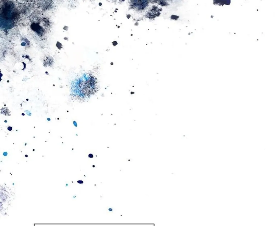 102 Príncipe problemático