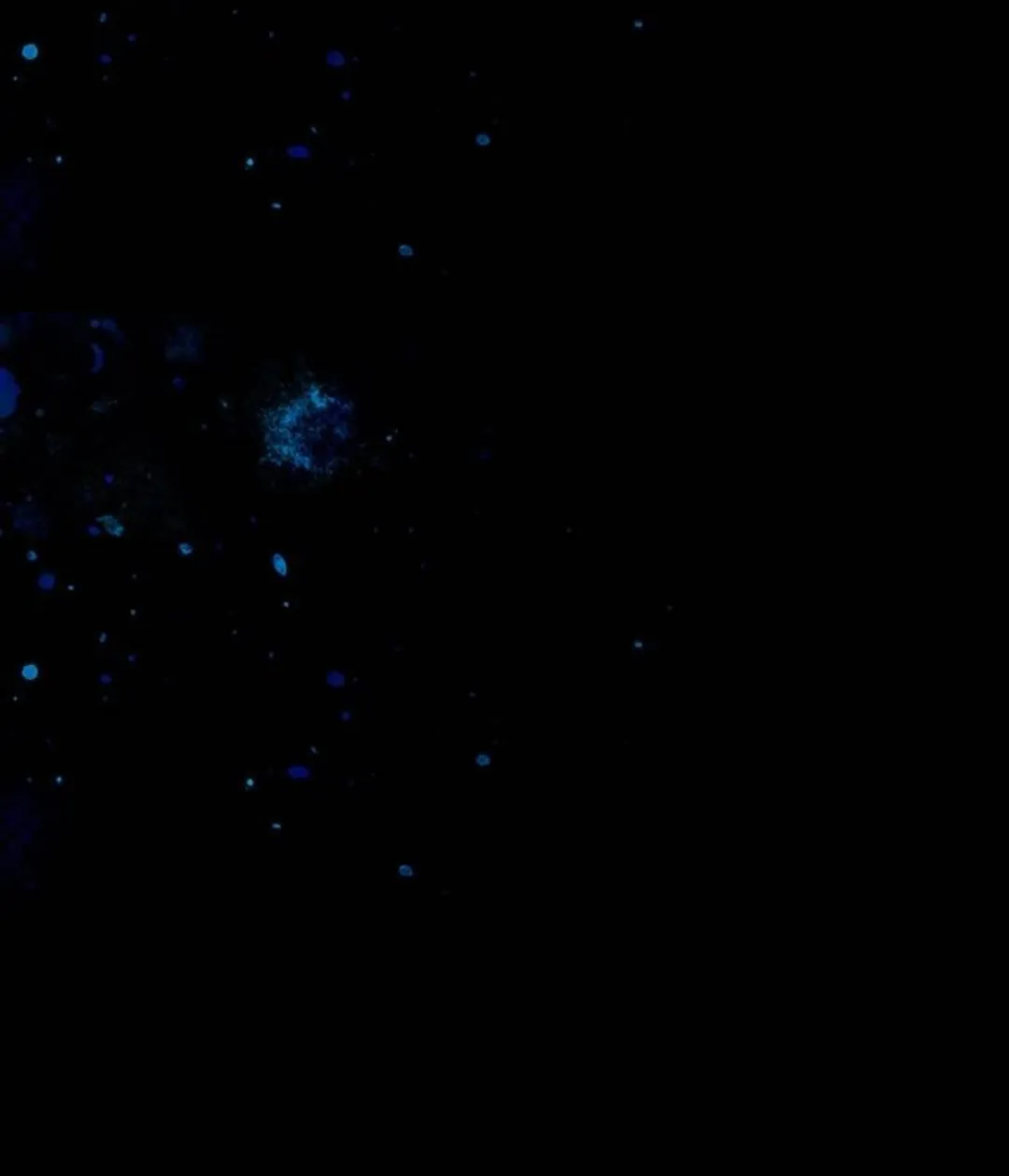 98 Príncipe problemático