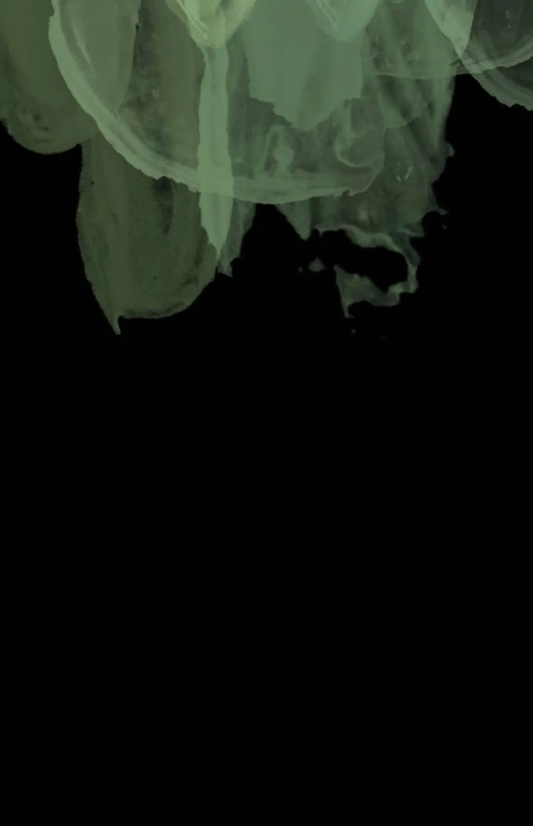 32 Príncipe problemático