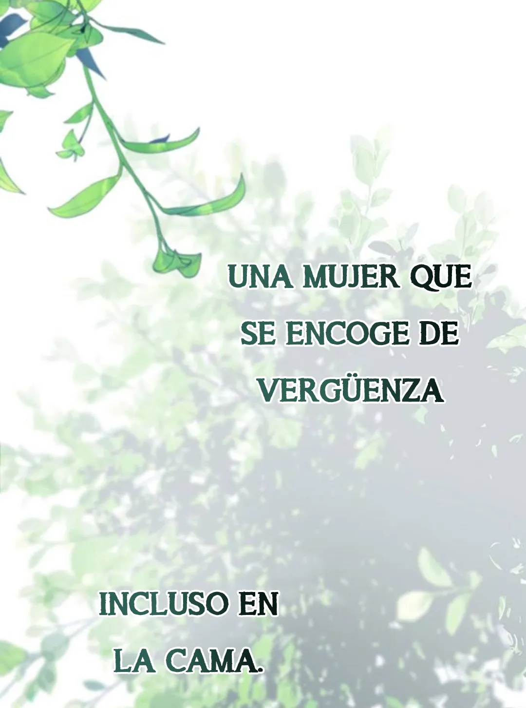 26 Príncipe problemático