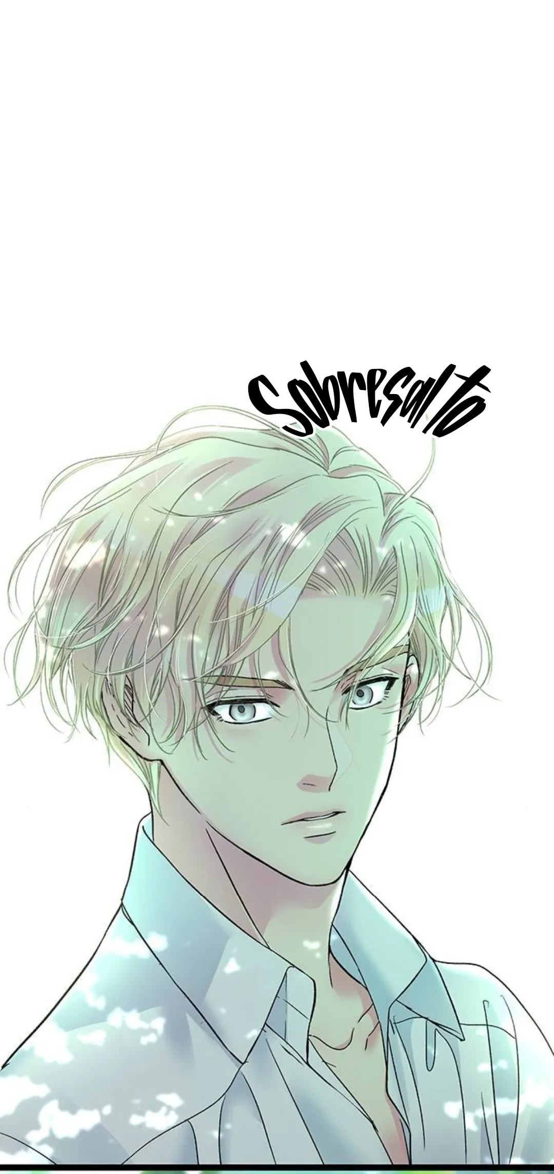 105 Príncipe problemático