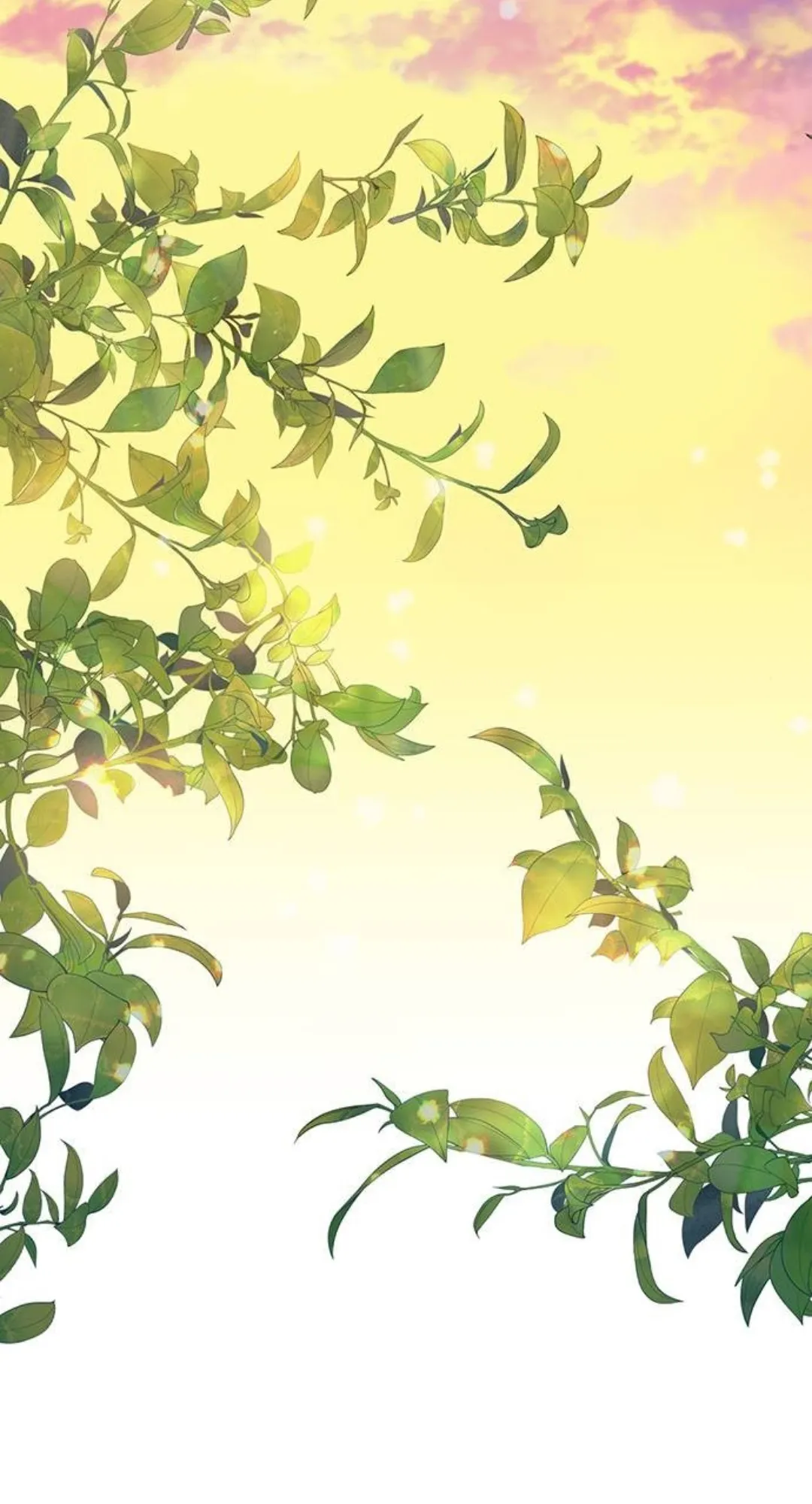 24 Príncipe problemático