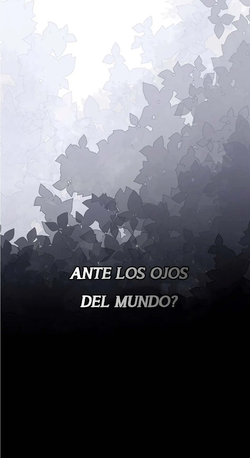 26 Príncipe problemático