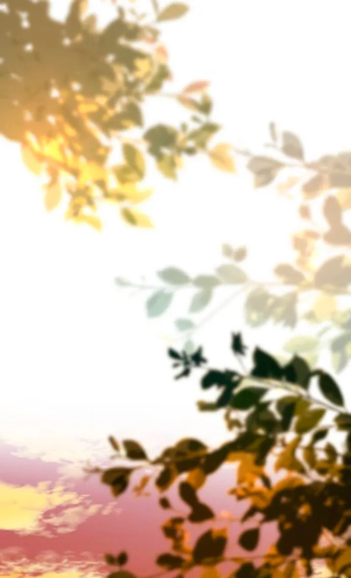 8 Príncipe problemático