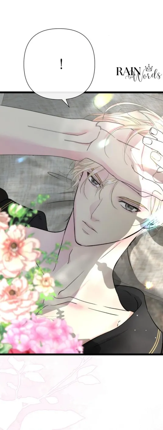 28 Príncipe problemático