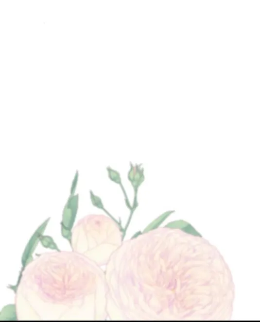 46 Príncipe problemático